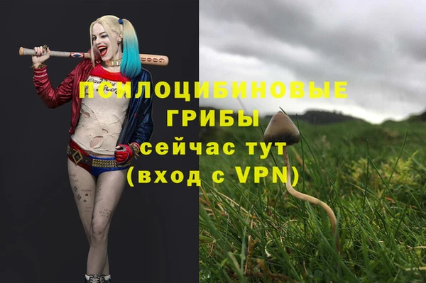 mix Кукмор
