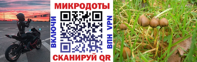 Галлюциногенные грибы Magic Shrooms  Ува 